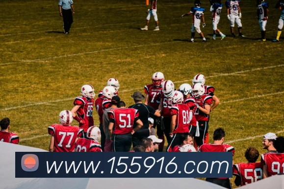 App Interface Preview