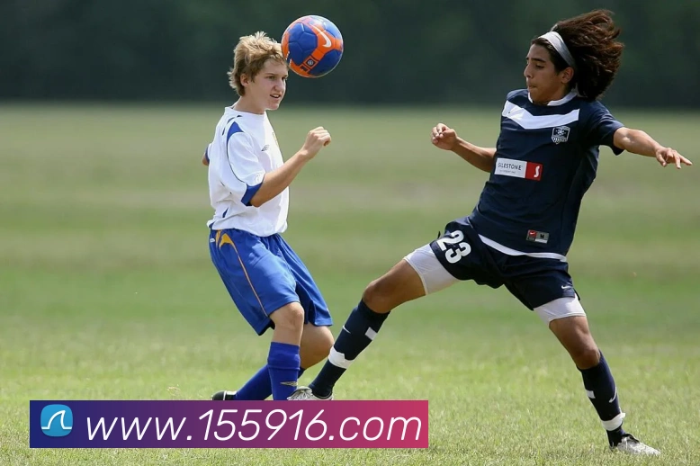互动解说服务