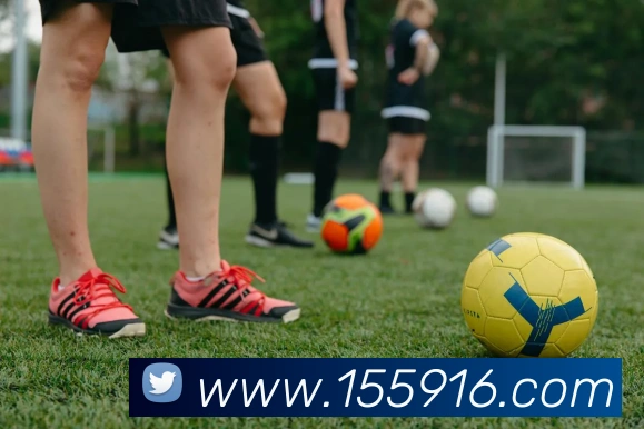 华体会APP 封面图